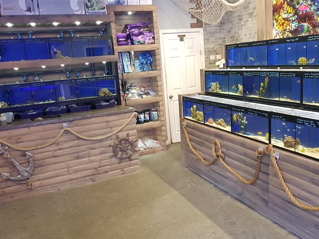 Pets, Supplies amp Services BD6, West Yorkshire  