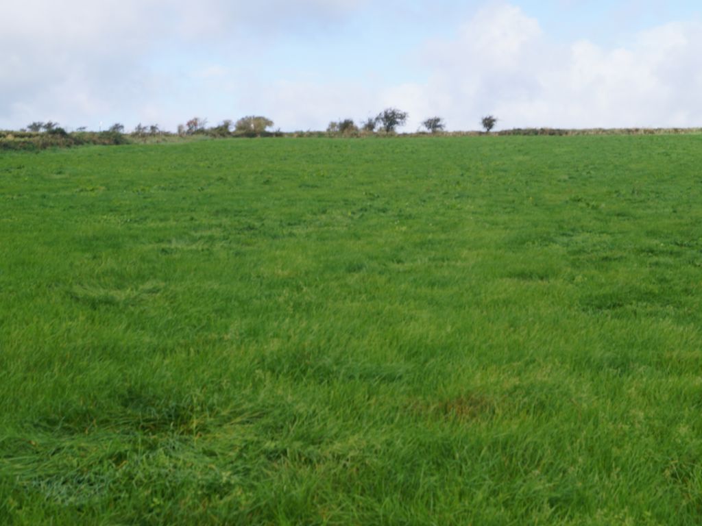 Land for sale in Blaenycoed Road, Carmarthen SA38, £130,000 Zoopla