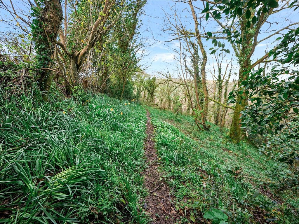 Land for sale in Woodland At Pillaton, Pillaton, Saltash, Cornwall PL12