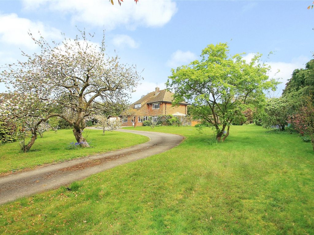 Land for sale in Ripley, Surrey GU23, £1,150,000 Zoopla