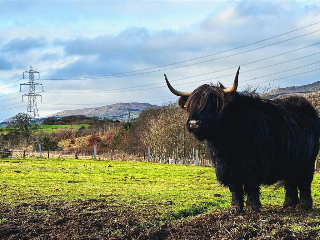 Land for sale in Braeface Road, Banknock, Bonnybridge FK4, £120,000