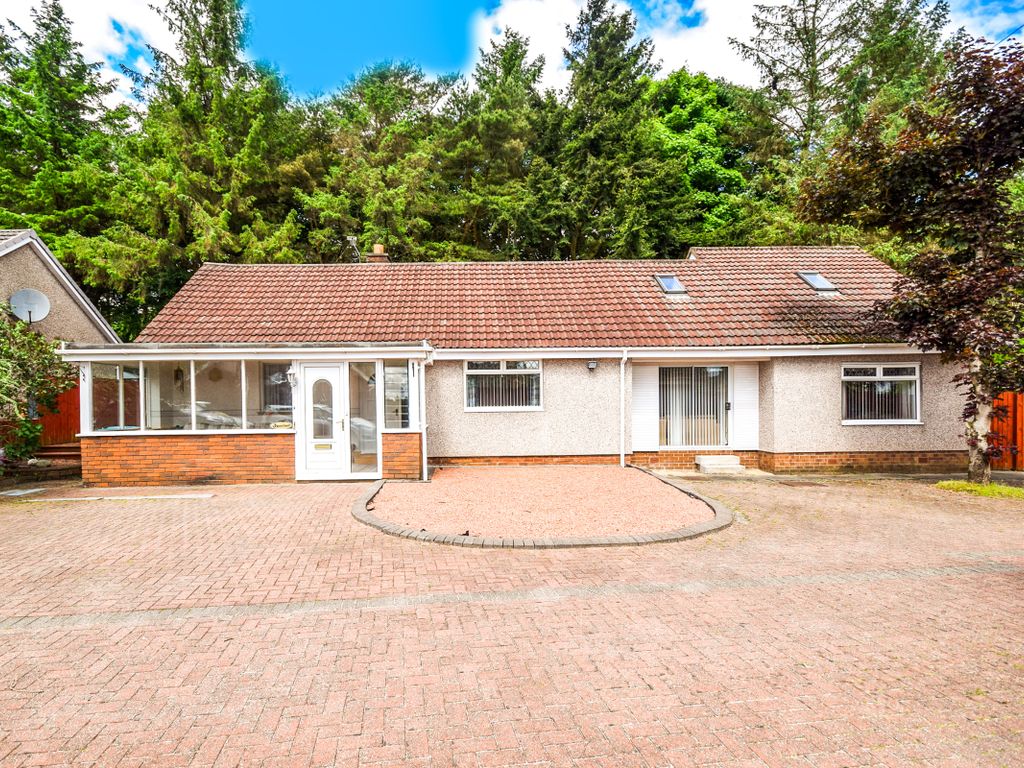 3 bed bungalow for sale in Larchfield Grove, Wishaw ML2, £265,000 Zoopla