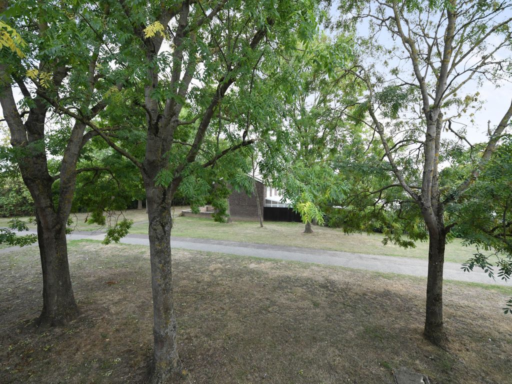 Cypress Road, Witham CM8  