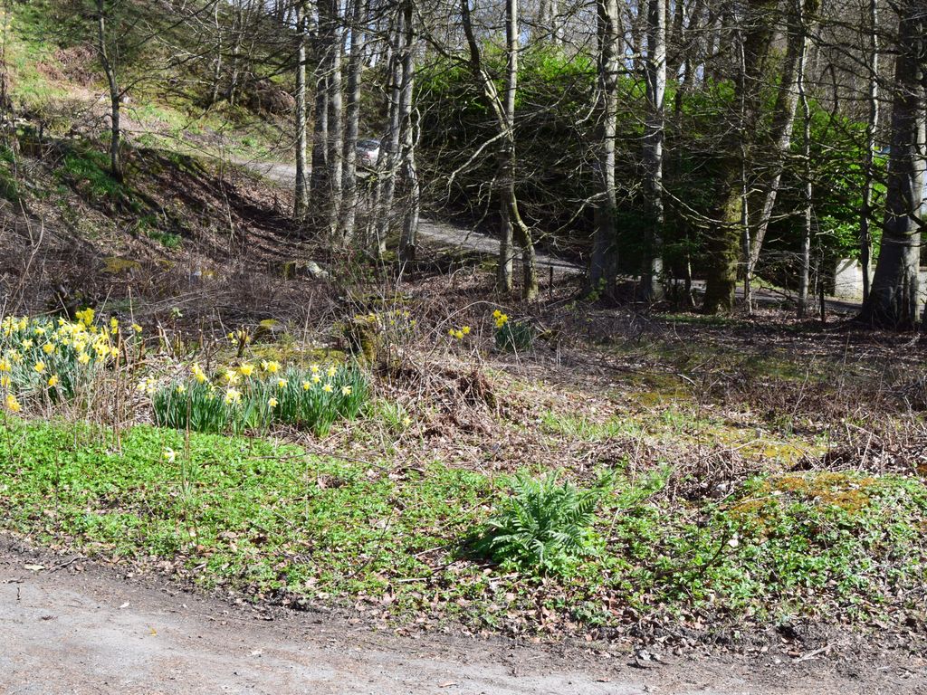 Land for sale in Plot Of Land, Bridge Of Cally, Blairgowrie PH10, £