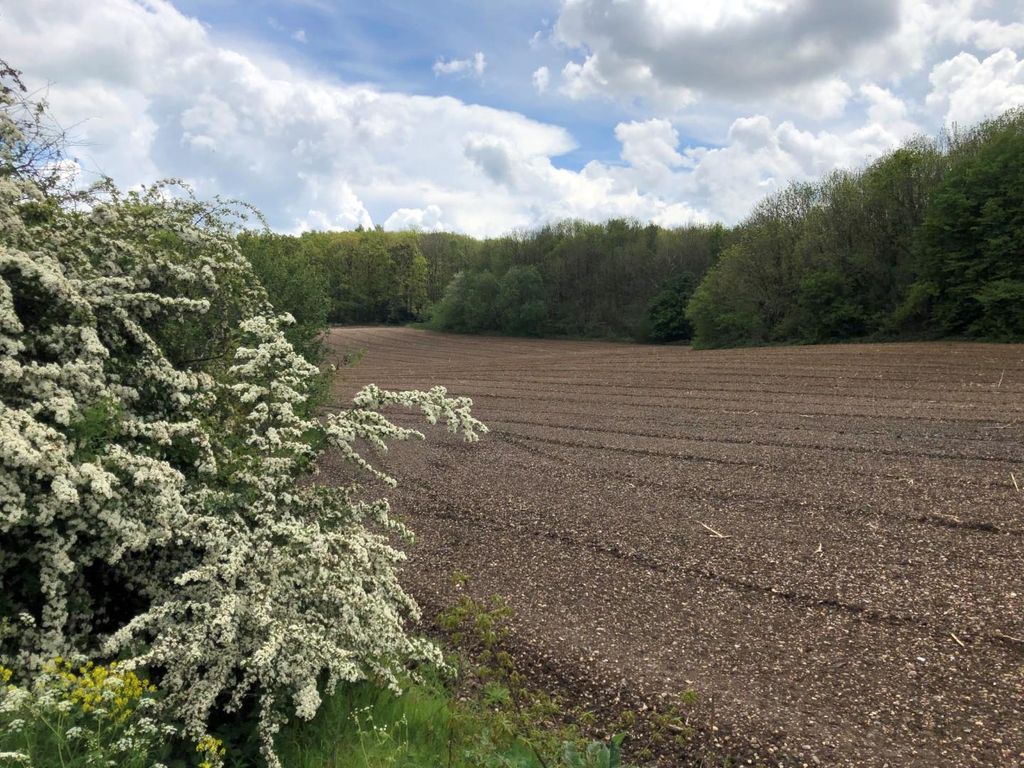 Land for sale in Dartford Road, Horton Kirby, Dartford DA4 Zoopla