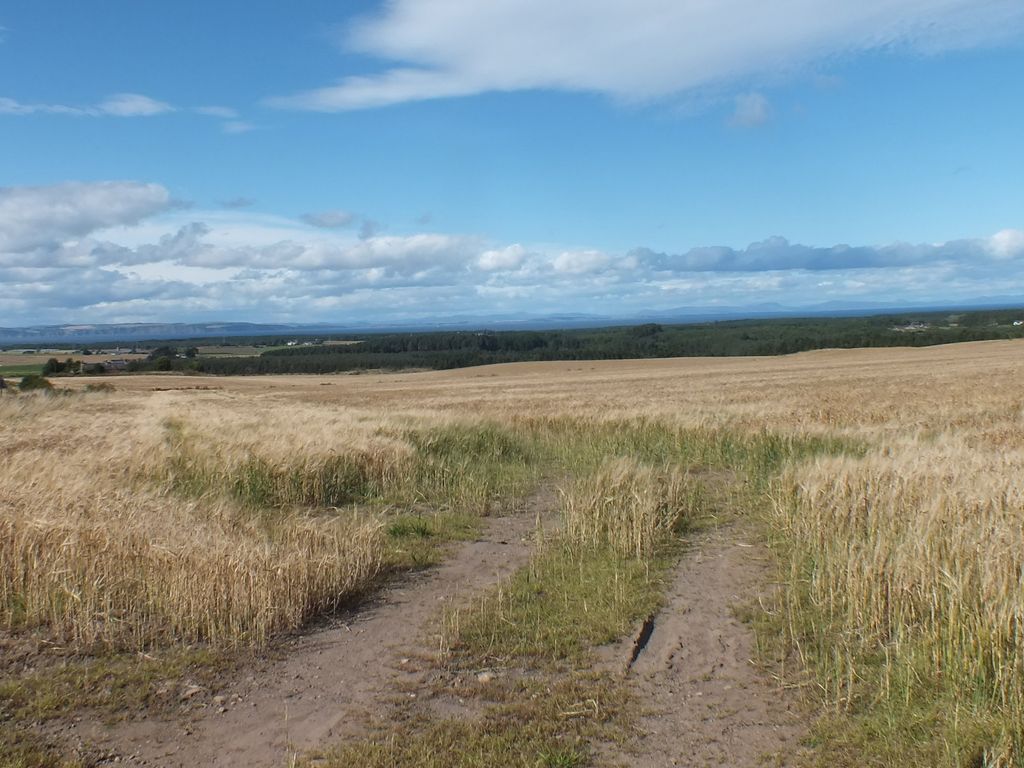 Land for sale in Moyness, Auldearn, Nairn IV12, £95,000 Zoopla