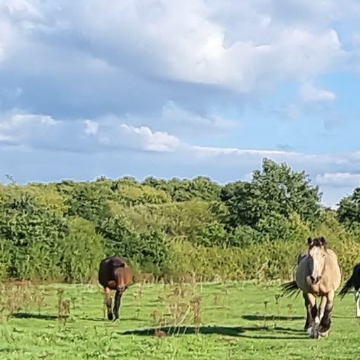 Land for sale in Old Rectory Lane Bakers Wood, Uxbridge UB9, £28,000