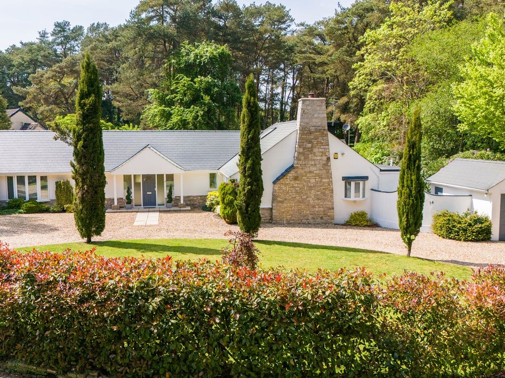 4 bed detached bungalow for sale in St Ives Park, Ashley Heath