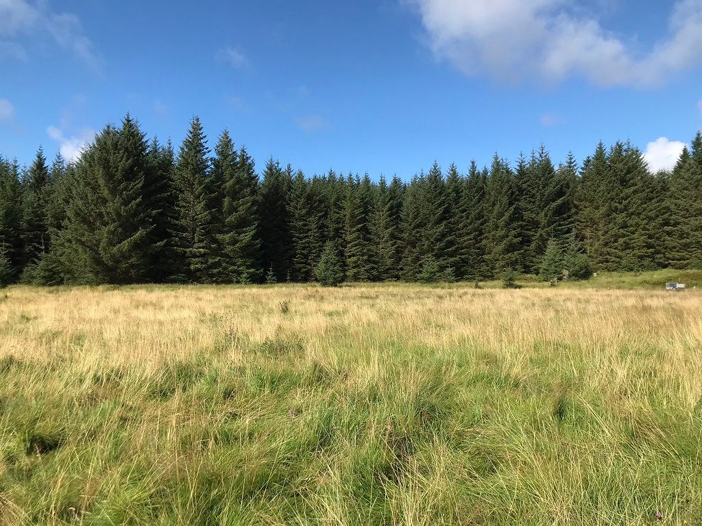 Land for sale in Kinloch, Isle Of Skye IV43 Zoopla