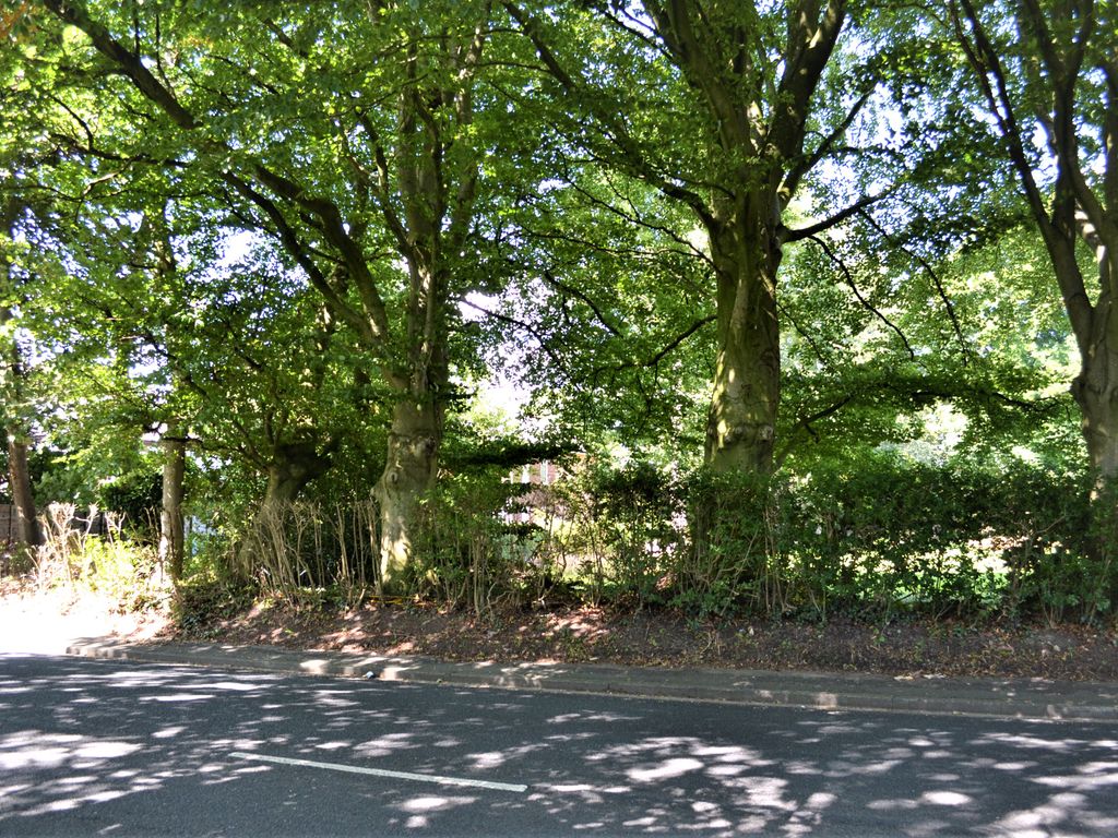 Land for sale in Higher Walton Road, WaltonLeDale PR5, £235,000 Zoopla