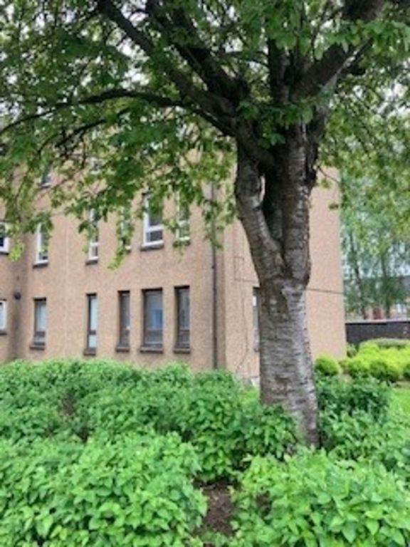 2 bed flat to rent in Fairfield Place, Falkirk FK2 Zoopla