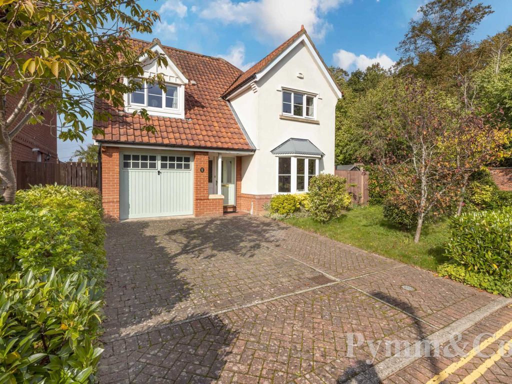 4 bed detached house for sale in Stan Petersen Close, Thorpe Hamlet NR1