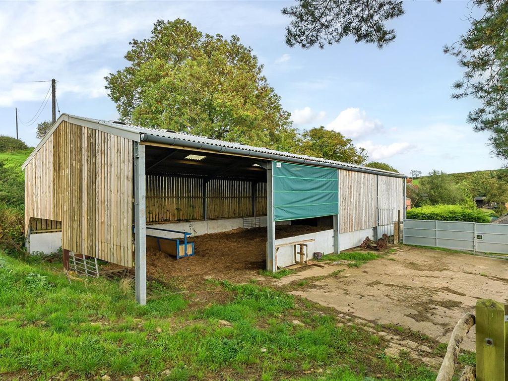 Land for sale in Broadwindsor, Beaminster DT8, £50,000 Zoopla