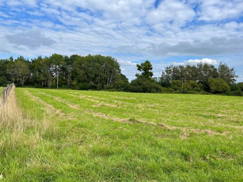 Land for sale in Kings Lane, Coldwaltham, Pulborough RH20, £85,000 Zoopla