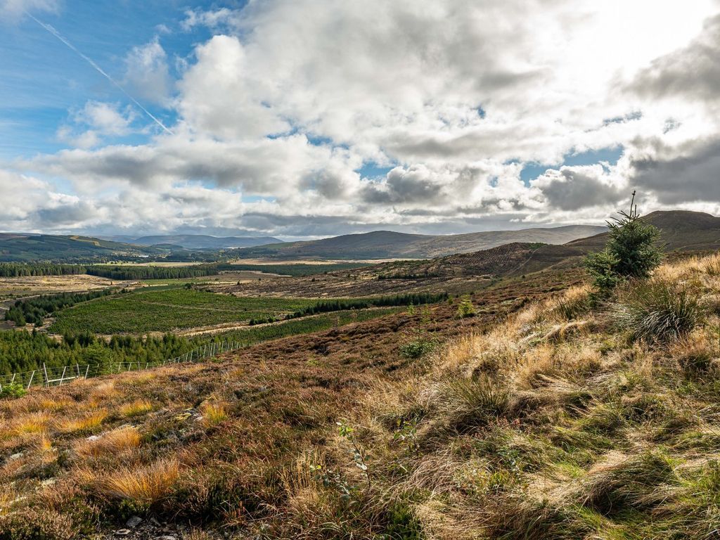 Land for sale in Lot 1 Lairgandour Hill, Daviot, Inverness IV2 Zoopla