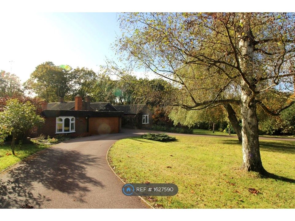 5 bed detached house to rent in Little Baddow Road, Danbury, Chelmsford