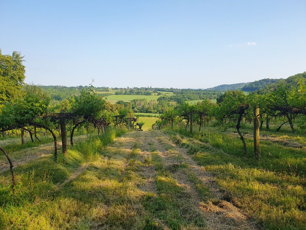 Land for sale in Stream House Drive, Selborne, Alton GU34 Zoopla