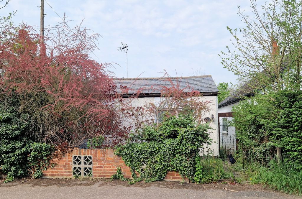 2 bed detached bungalow for sale in Lower Road, Great Amwell, Ware SG12