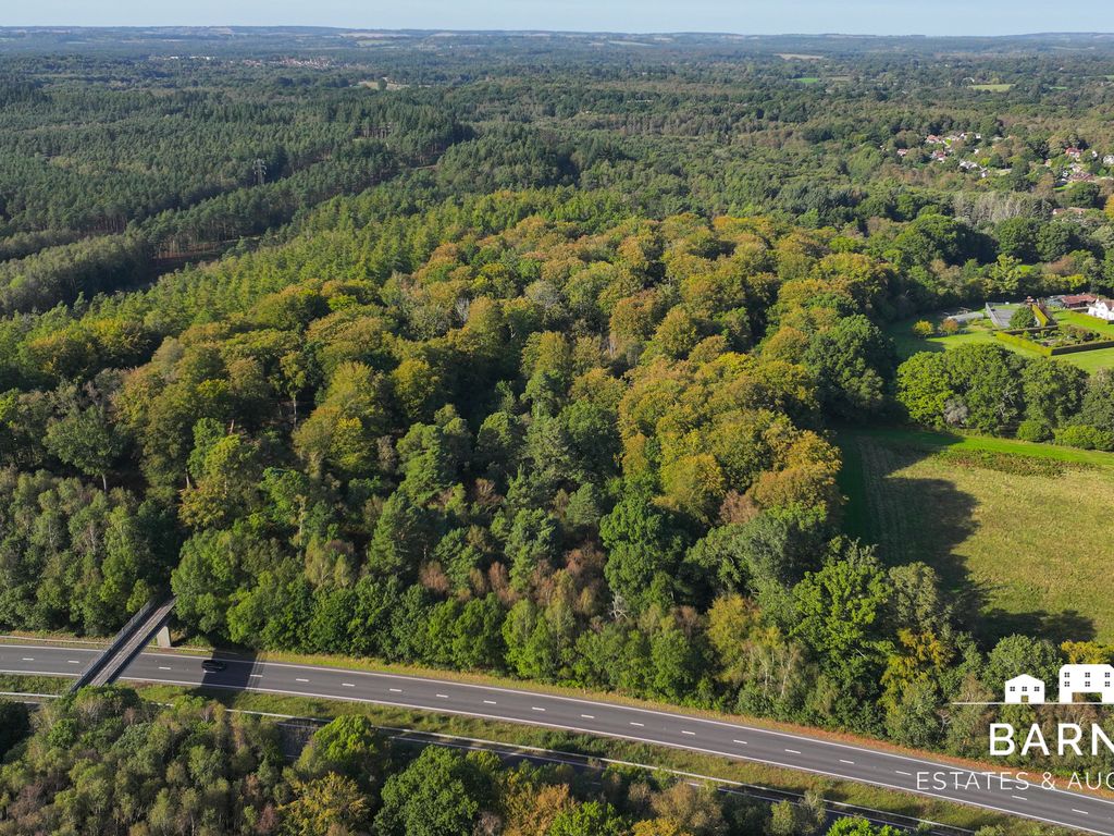 Land for sale in Holm Hood Woodlands, Liphook GU30, £50,000 Zoopla