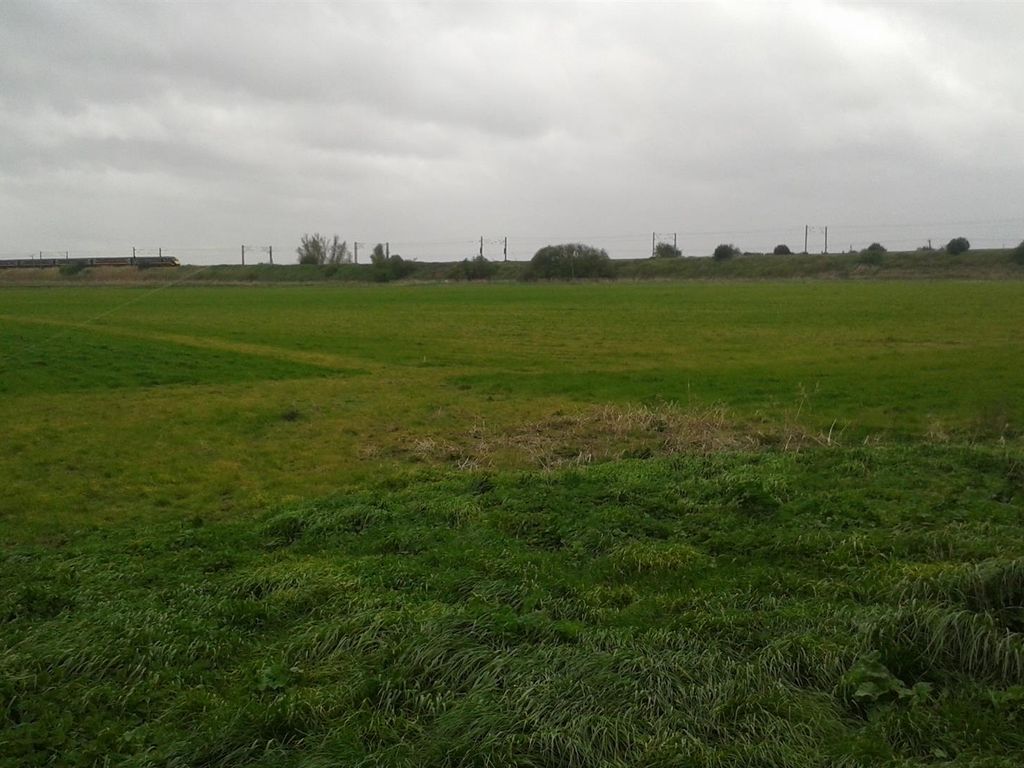Land for sale in Great Drove, Yaxley, Peterborough PE7, £185,000 Zoopla