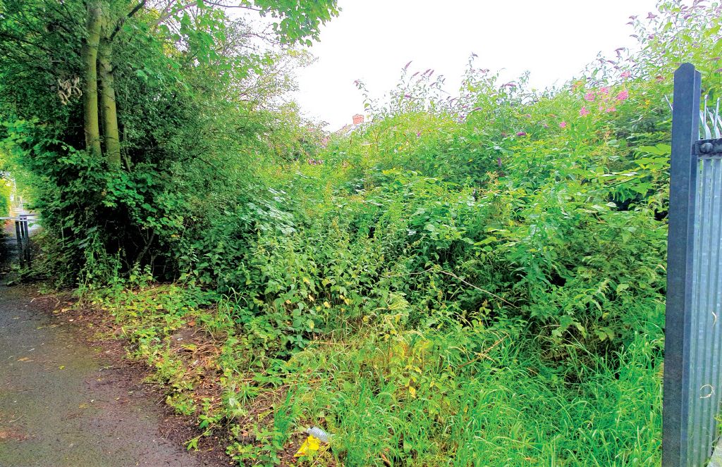 Land for sale in Ivanhoe Road, Thurcroft, Rotherham S66, £3,000 Zoopla