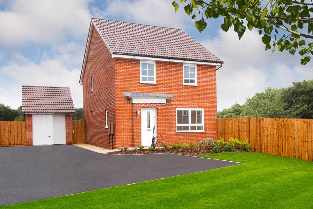 Chester Willowherb at Town Lane, Southport PR8  