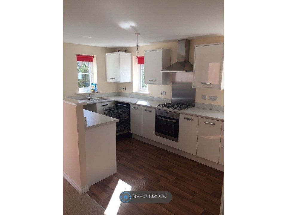 4 bed detached house to rent in Holly Crescent, Sacriston, Durham DH7