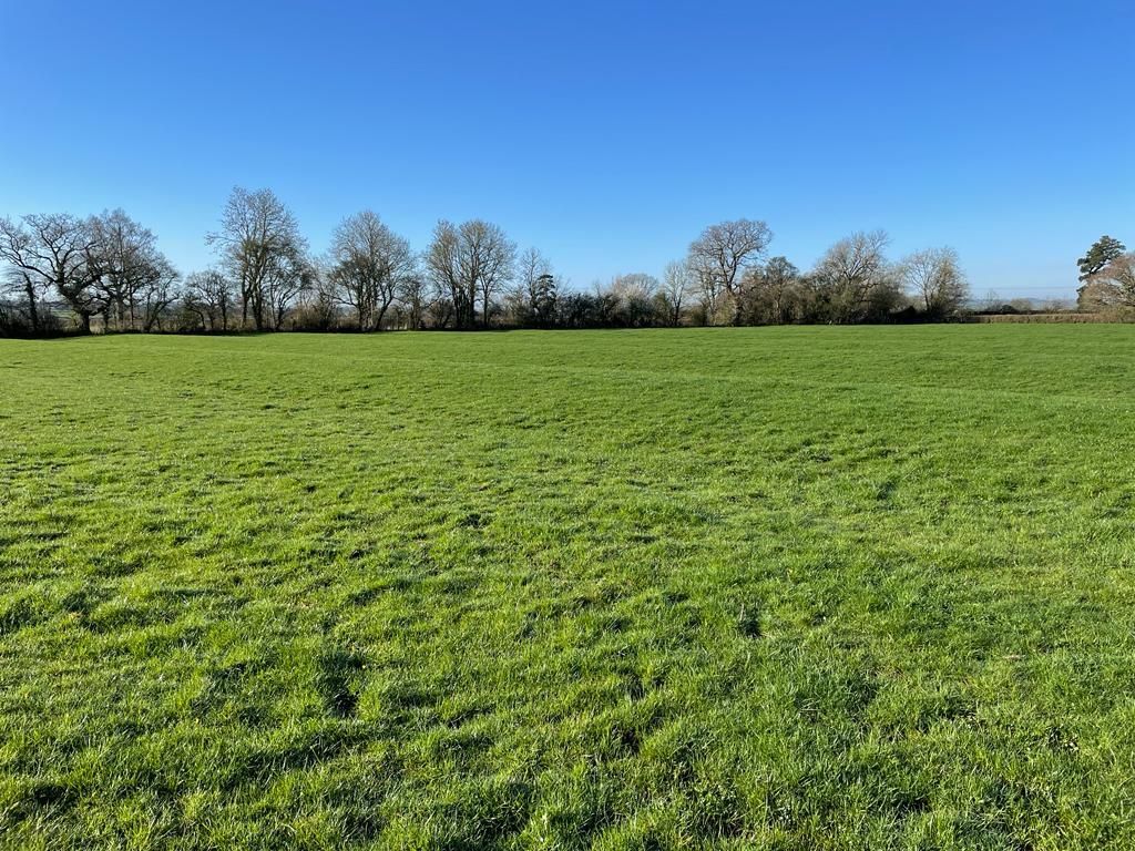 Land for sale in Marston Magna, Yeovil BA22 Zoopla