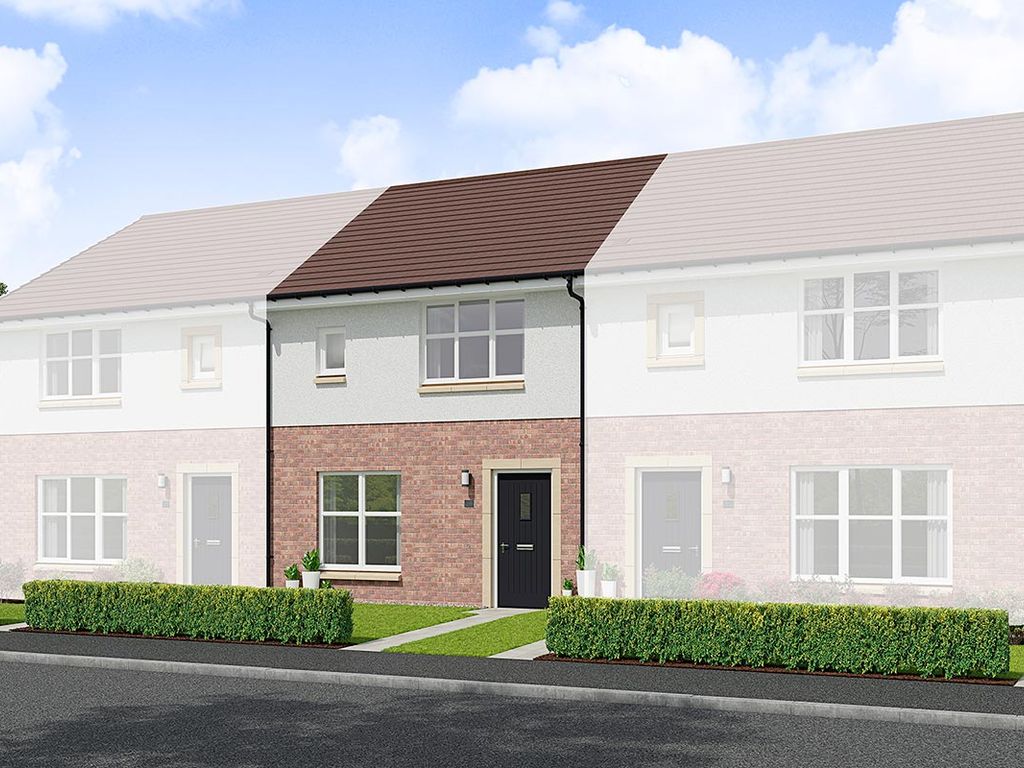 New home, 3 bed terraced house for sale in "Berwick" at Cherrytree