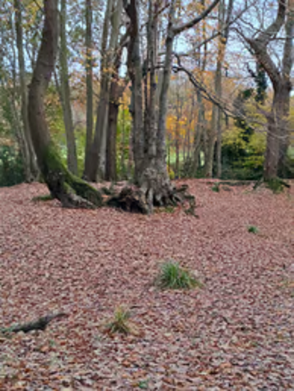 Land for sale in Powder Mill Lane, Tunbridge Wells TN4, £6,000 Zoopla