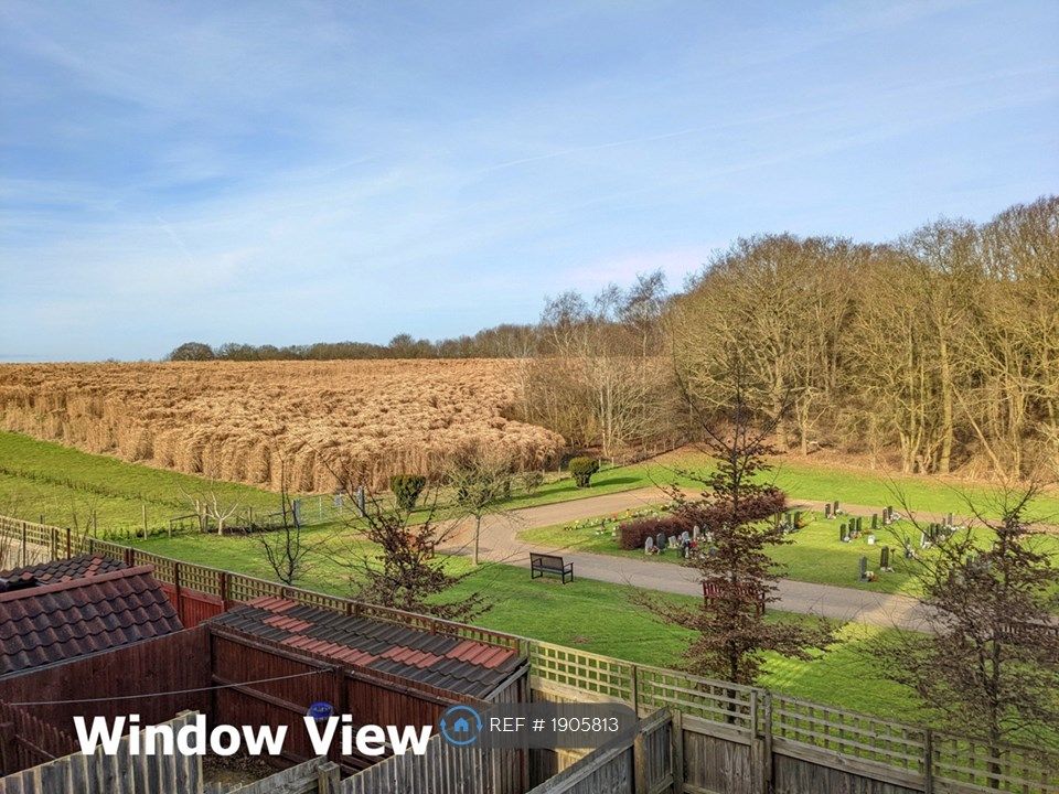 3 bed semidetached house to rent in Dr Torrens Way, New Costessey