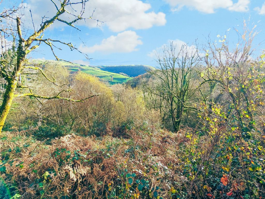 Farm for sale in Abergorlech Road, Horeb, Carmarthen, Carmarthenshire