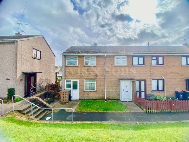 3 bed terraced house for sale in Aberthaw Road, Newport NP19 - Zoopla