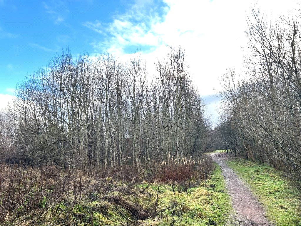 Land for sale in Armadale, West Lothian EH48, £45,000 Zoopla