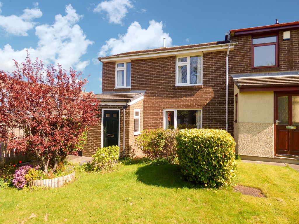 3 bed semidetached house to rent in South Magdalene, Medomsley