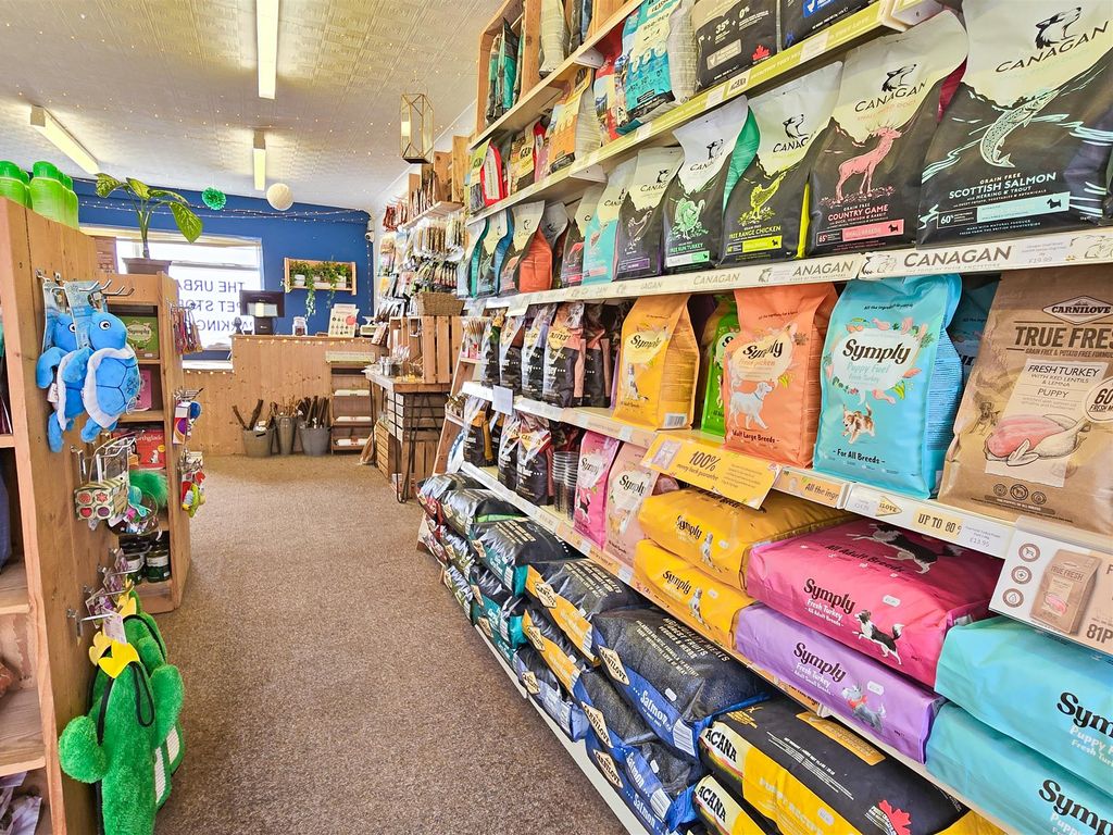 Generic independent pet supply shop interior