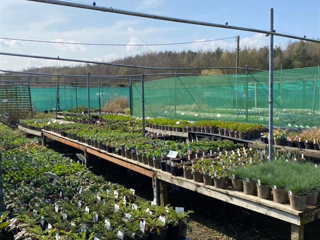 Retail premises for sale in Plant Nursery And Retail Shop NG4, Carlton