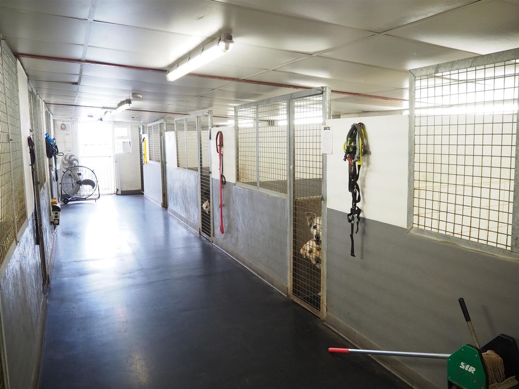 Commercial property for sale in Kennels, Cattery & Equestrian Businesses WF3, Tingley, West