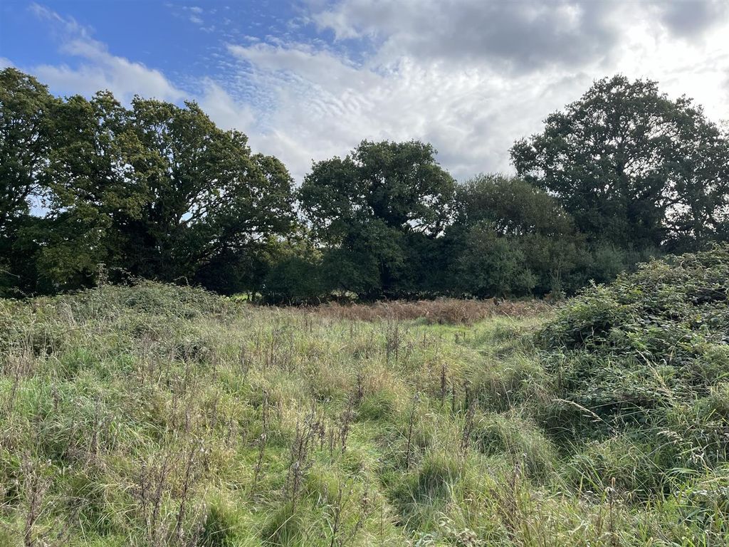Land for sale in Holme Lane, East Stoke, Wareham BH20, £35,000 Zoopla