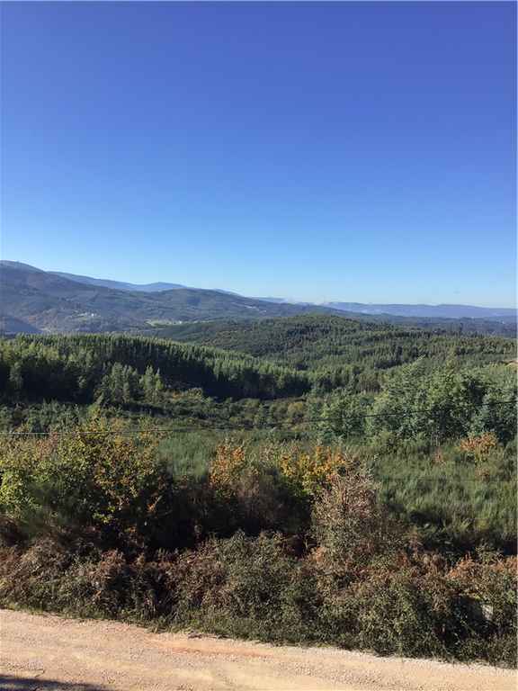 Land for sale in Coja, Coimbra, Portugal, £71,730 Zoopla