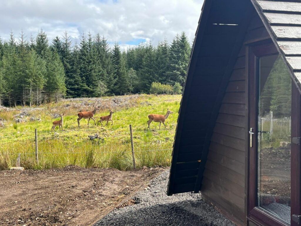 Land for sale in Ostrich Island, Spean Bridge PH34, £85,000 Zoopla