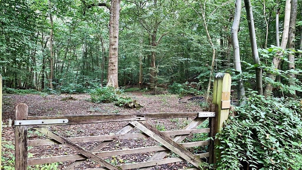 Land for sale in Catsfield Road, Ninfield, Battle, East Sussex TN33, £