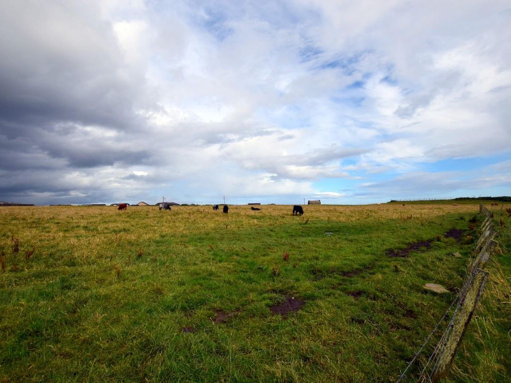Land for sale in Murray Avenue, Wick KW1 Zoopla