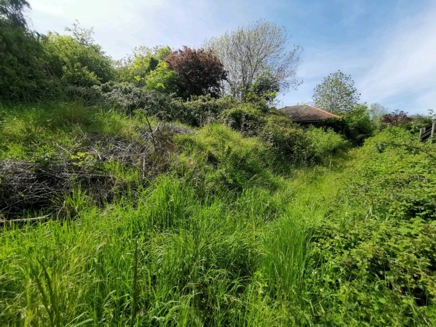 3 bed detached bungalow for sale in 31 The Street, Brockdish, Norfolk