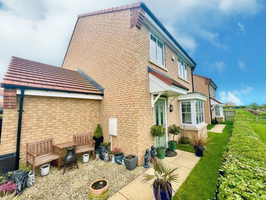 4 bed detached house for sale in Buttercup Grove, Stainton
