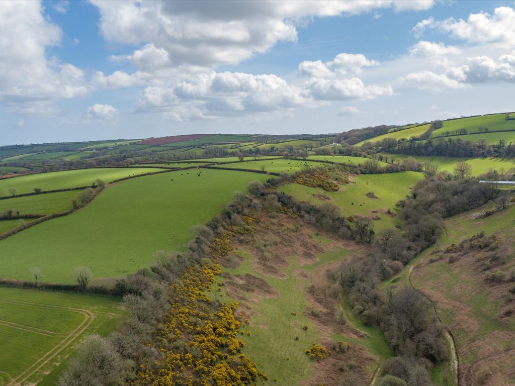 Land for sale in Halwell, Totnes, Devon TQ9 Zoopla