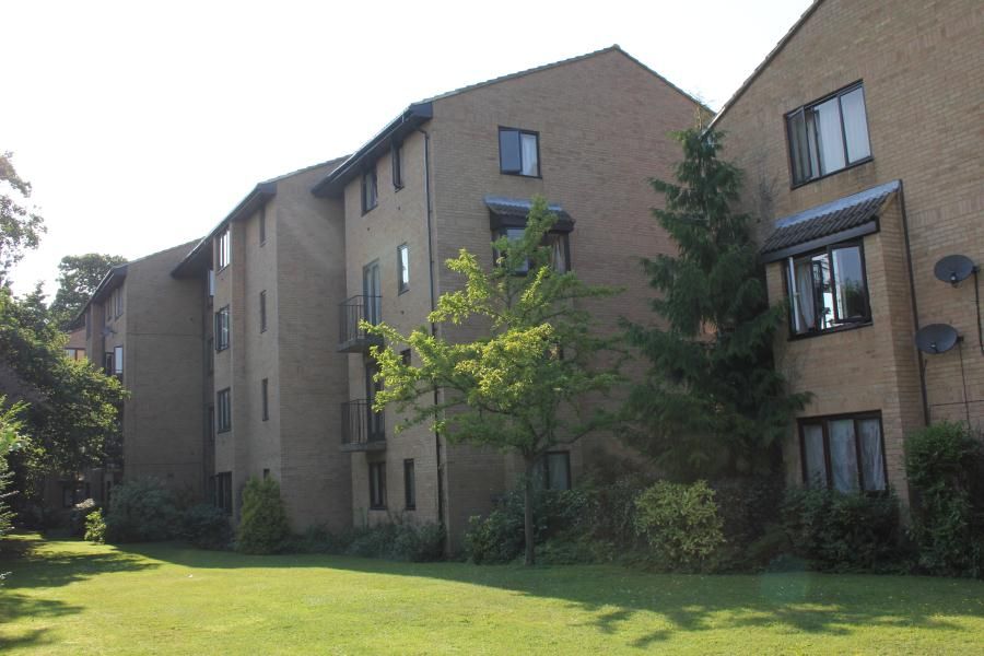 Studio to rent in Mongomery Road, Woking, Surrey GU22 Zoopla