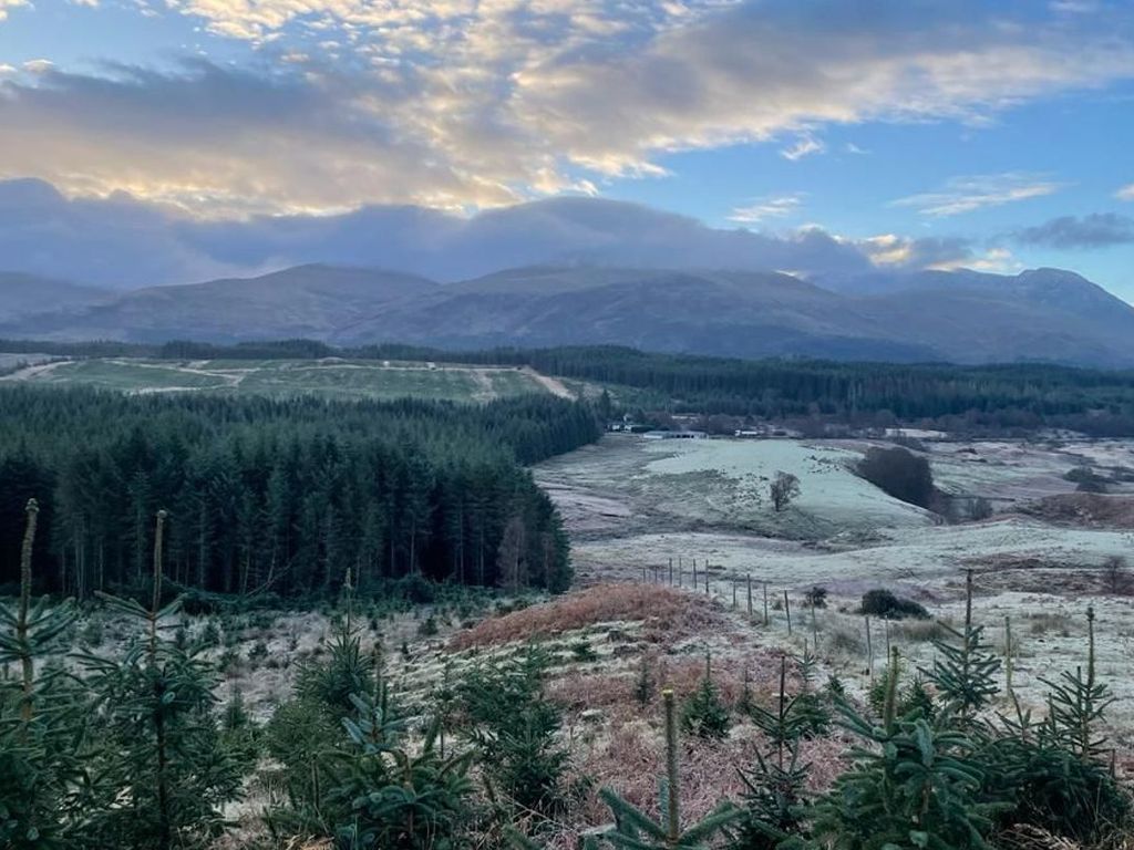 Land for sale in Forest Plot 2, 279Sqm Site, Spean Bridge, Fort William