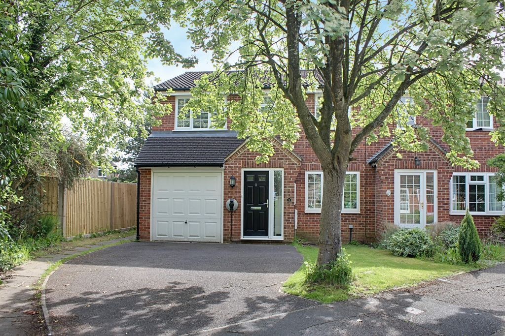 4 bed semidetached house for sale in Birchwood, Chineham, Basingstoke