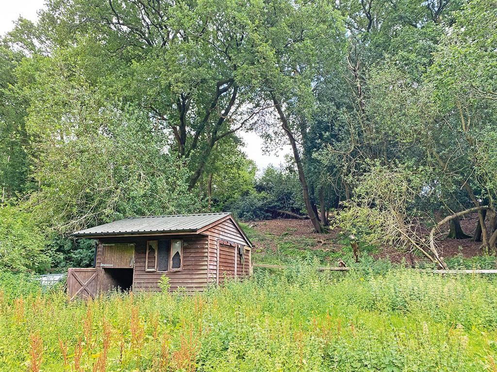 Land for sale in Linford Road, Ringwood BH24, £100,000 Zoopla